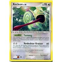 52/132 - Kecleon