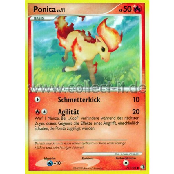 71/100 - Ponita