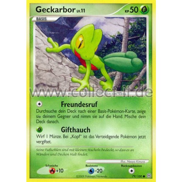 79/100 - Geckarbor