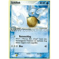 43/100 - Schillok