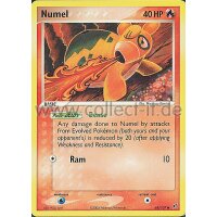 68/107 - Numel