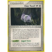 91/110 - Claw Fossil