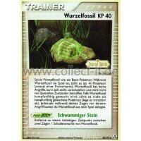 80/92 - Wurzelfossil - Reverse Holo