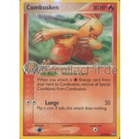 29/108 - Combusken