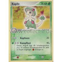 16/109 - Kapilz