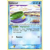 66/100 - Loturzel