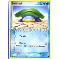 67/100 - Loturzel