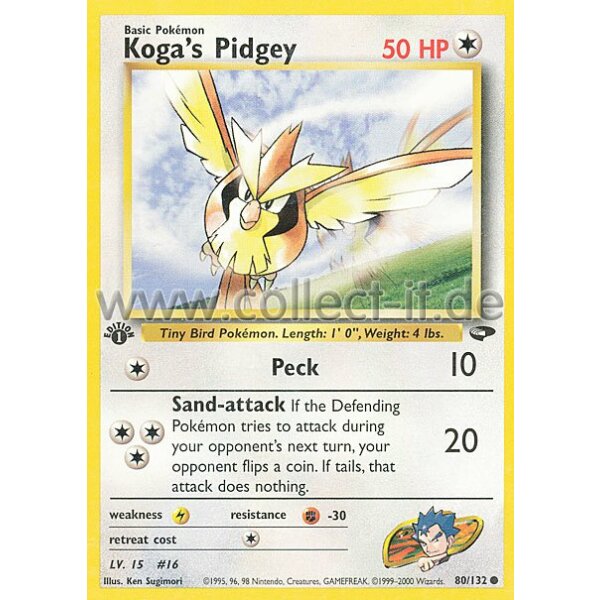 080/132 - Koga‘s Pidgey - Common - Englisch 1st Edition