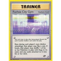 114/132 - Fuchsia Ciy Gym
