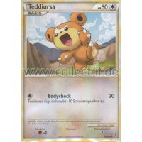 65/95 - Teddiursa