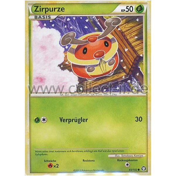 65/102 - Zirpurze