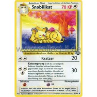 42/64 - Snobilikat