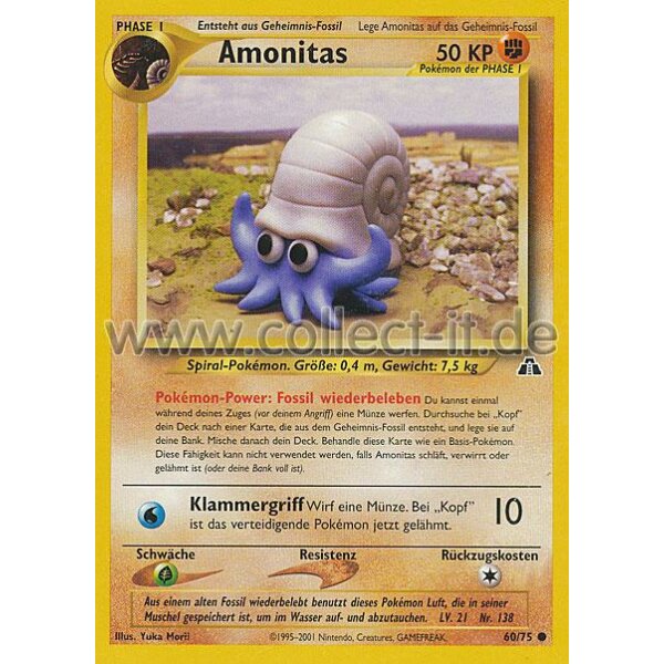 60/75 - Amonitas