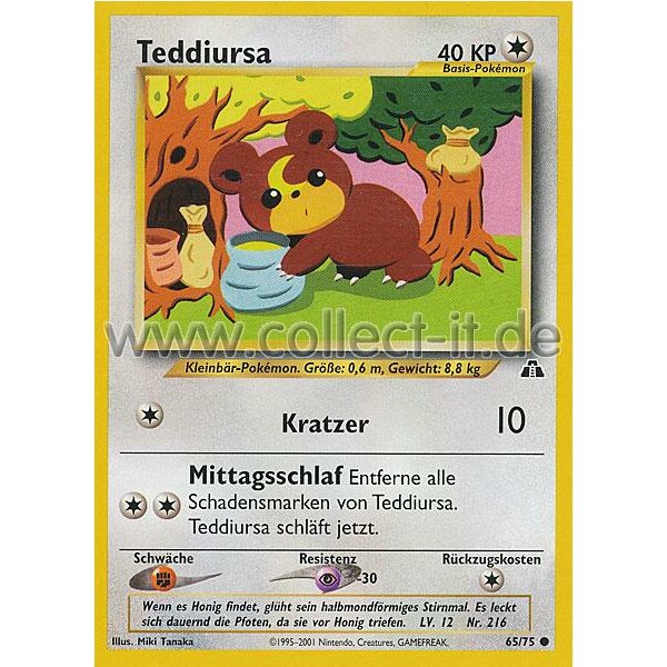 65/75 - Teddiursa