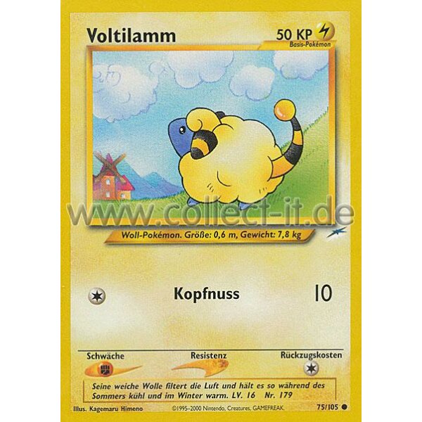 75/105 - Voltilamm