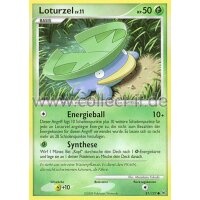 81/127 - Loturzel