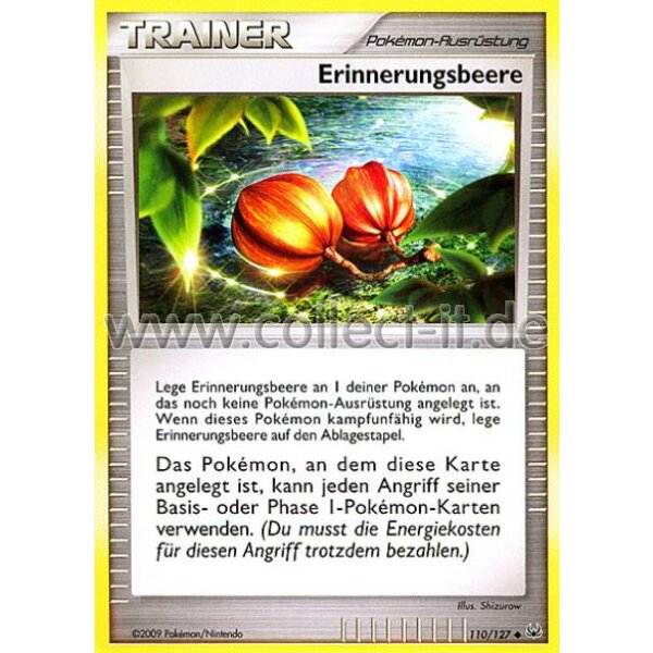 110/127 - Erinnerungsbeere