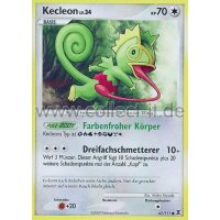 67/111 - Kecleon