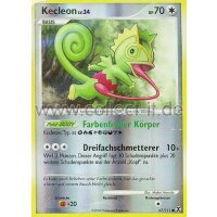 67/111 - Kecleon - Reverse Holo