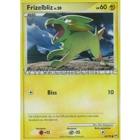 63/99 - Frizelbliz