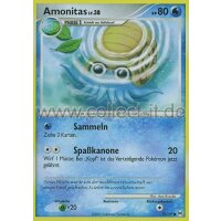 70/99 - Amonitas