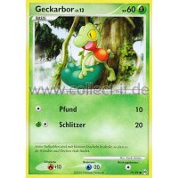 79/99 - Geckarbor