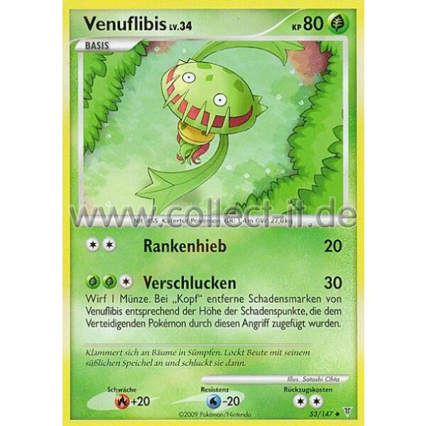 53/147 - Venuflibis