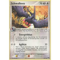 15/17 - Schwalboss