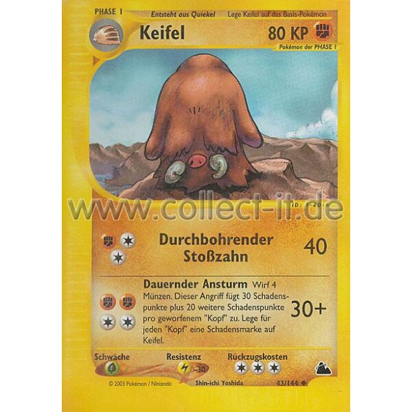 43/144 - Keifel