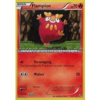 24/114 - Flampion