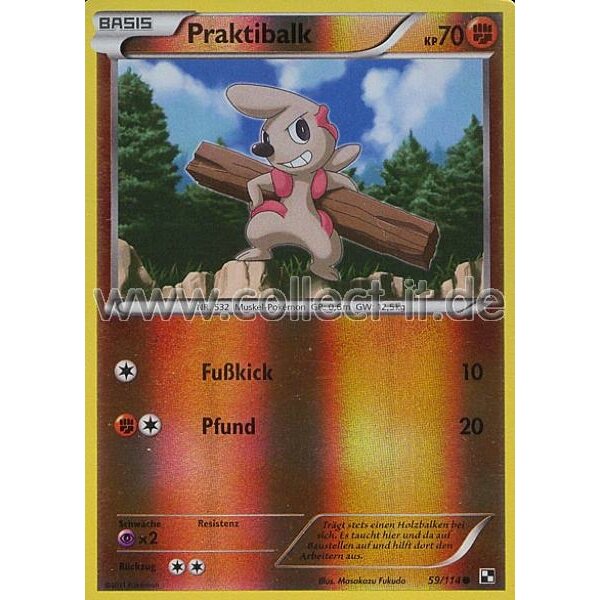 59/114 - Praktibalk - Reverse Holo