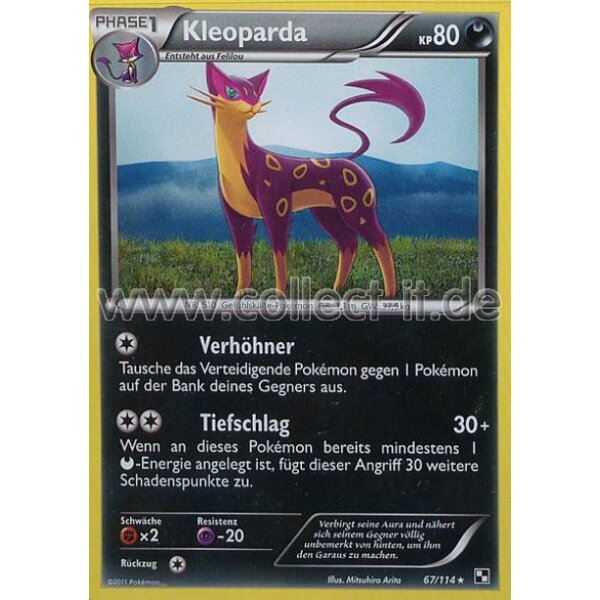 67/114 - Kleoparda