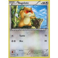 77/114 - Nagelotz