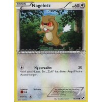 78/114 - Nagelotz