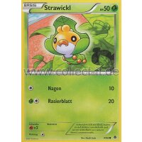 4/98 - Strawickl