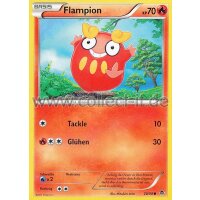 20/98 - Flampion