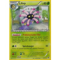 3/101 - Liliep