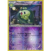 43/101 - Mitodos - Reverse Holo