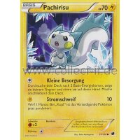 37/116 - Pachirisu