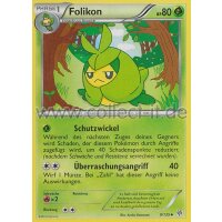 9/135 - Folikon