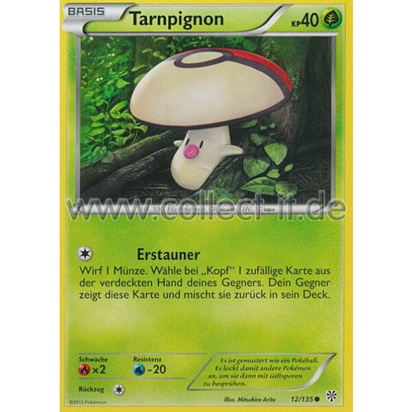 12/135 - Tarnpignon