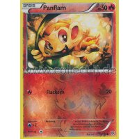 15/135 - Panflam - Reverse Holo