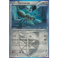 91/135 - Fermicula