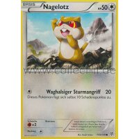 110/135 - Nagelotz