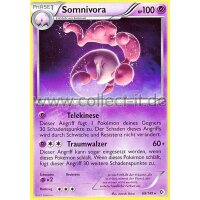 69/149 - Somnivora