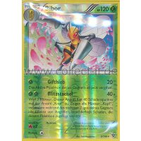 5/146 - Bibor - Reverse Holo