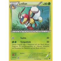 7/146 - Ledian