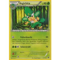 11/146 - Vegichita