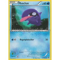 31/146 - Muschas