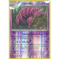 53/146 - Cerapendra - Reverse Holo